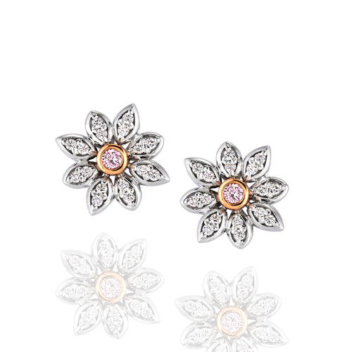 Argyle Pink diamond halo stud earrings