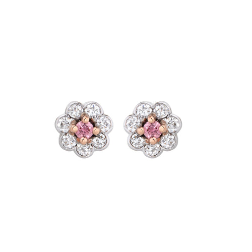 Argyle Pink diamond halo stud earrings