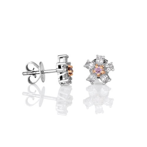 Argyle Pinks and white diamond halo earrings