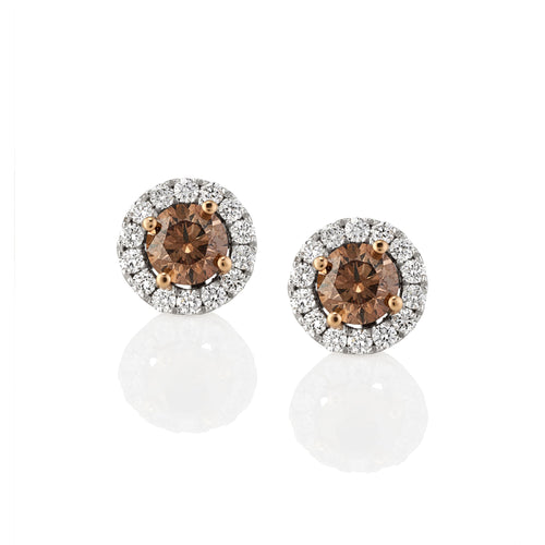 Argyle Champagne Diamond & White Diamond Halo Stud Earrings