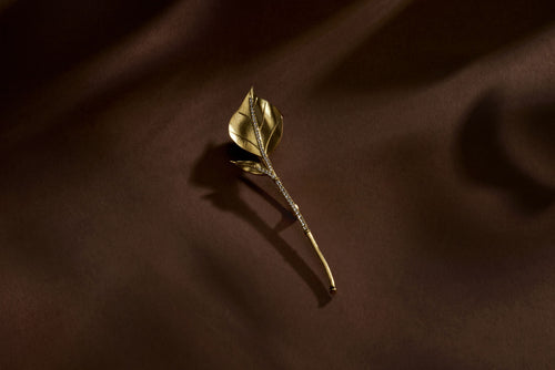 Gold leaf sprout brooch on a dark brown background.